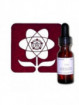 CHICAGO PEACE 15ML ROSES II